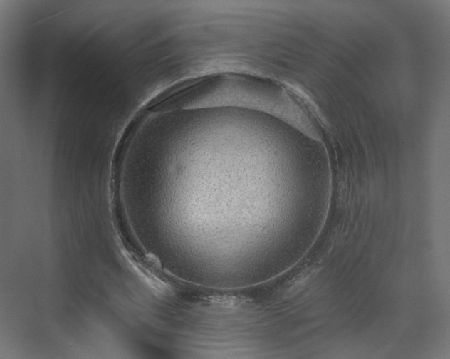 X0000070220439200606021325