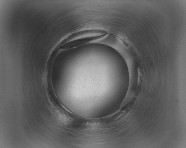 X0000070220440200606021325