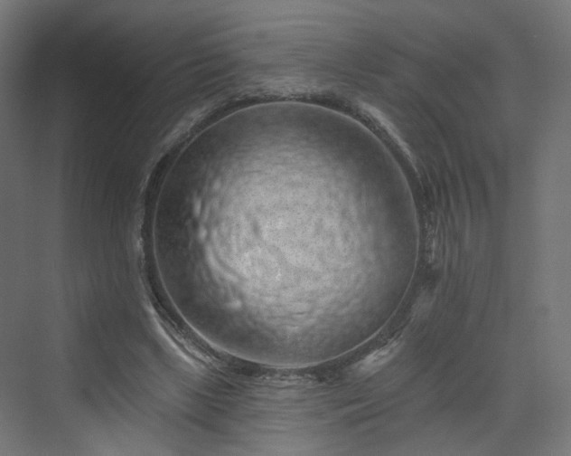 X0000070220443200606021325