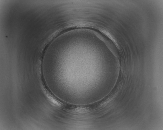 X0000070220445200606021325