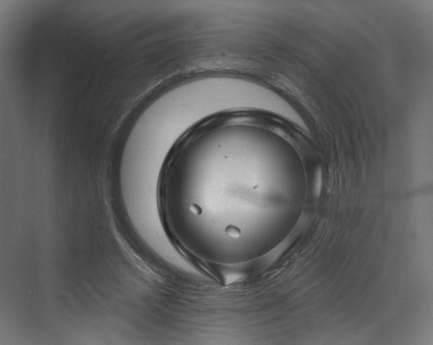 X0000070220448200606021325