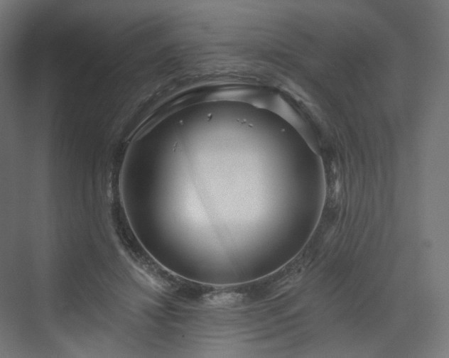 X0000070220452200606021325