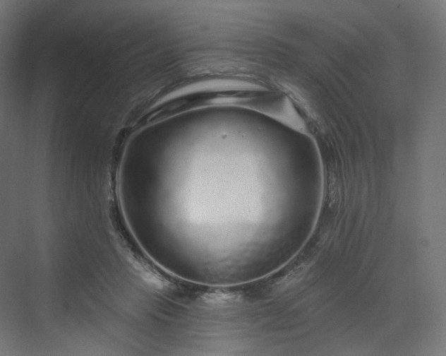 X0000070220453200606021325