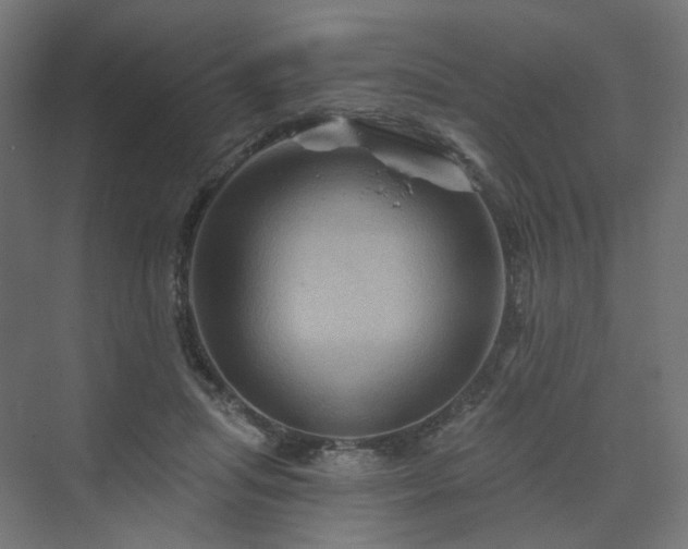 X0000070220455200606021326
