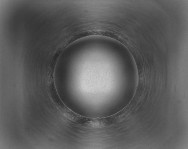 X0000070220464200606021326