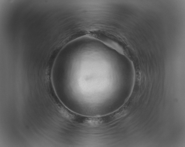 X0000070220466200606021326