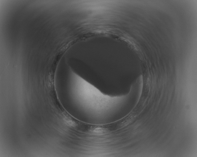 X0000070220467200606021326