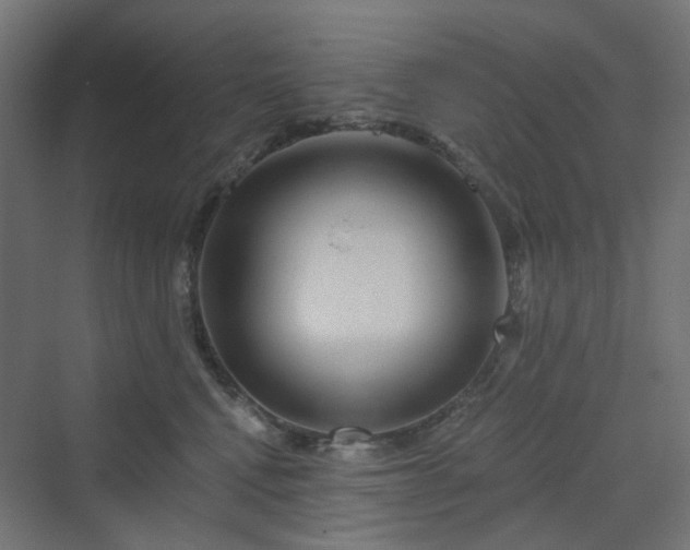 X0000070220472200606021326