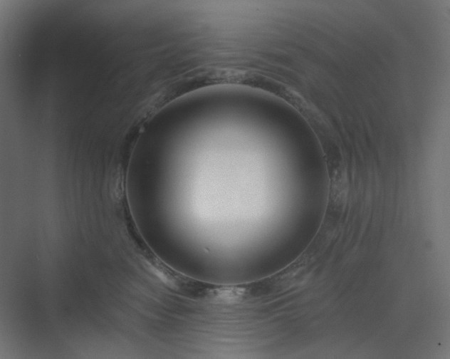 X0000070220474200606021326