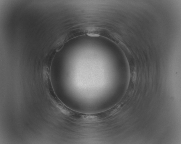 X0000070220476200606021326