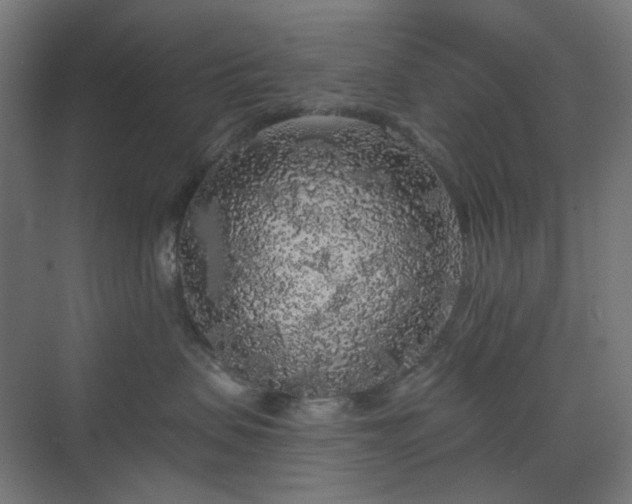X0000070220479200606021326