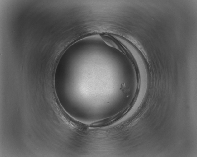 X0000070220481200606021325