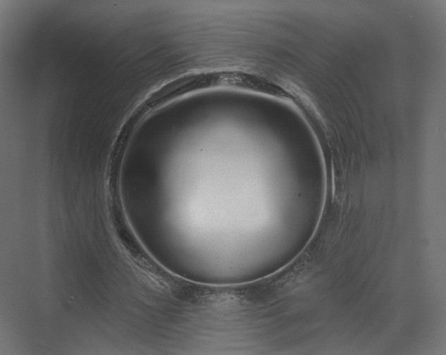 X0000070220483200606021325