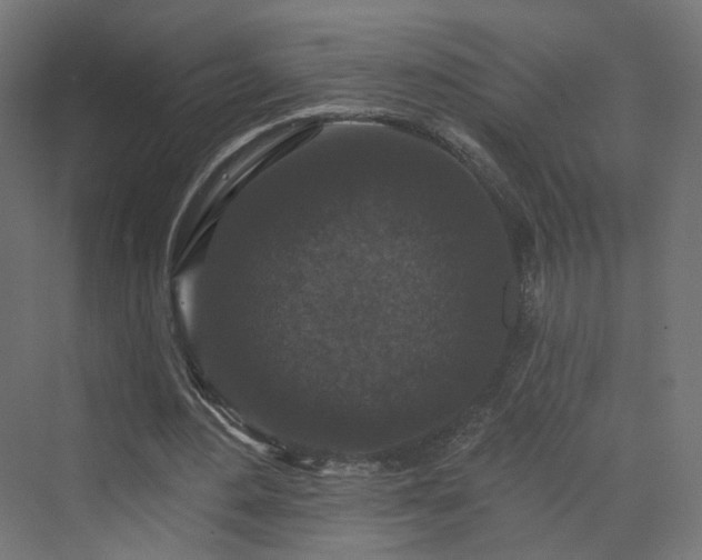 X0000070220484200606021325