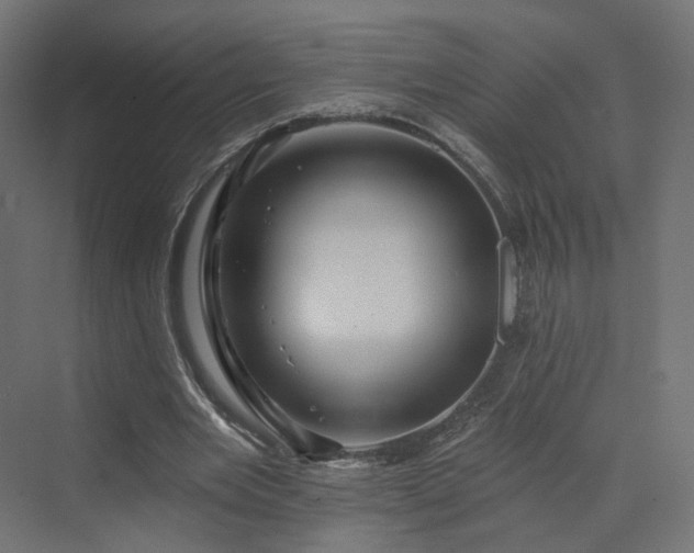 X0000070220485200606021325