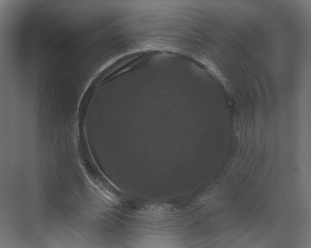 X0000070220488200606021325