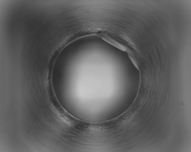 X0000070220490200606021325