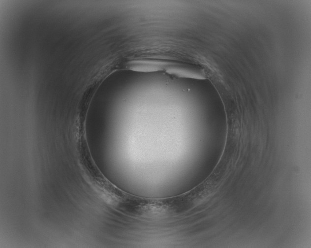 X0000070220498200606021325
