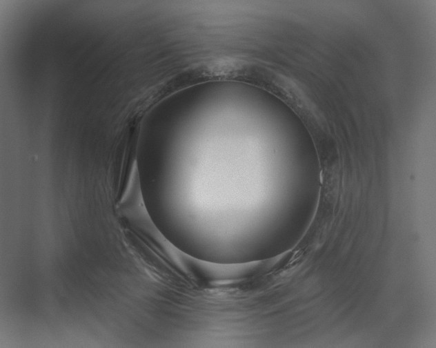 X0000070220505200606021325