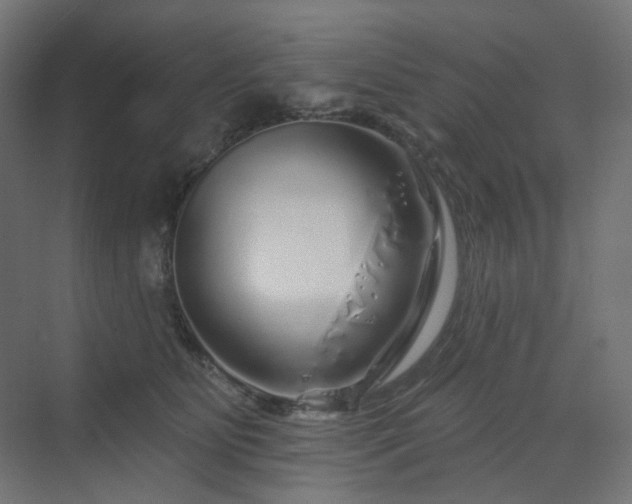 X0000070220515200606021325