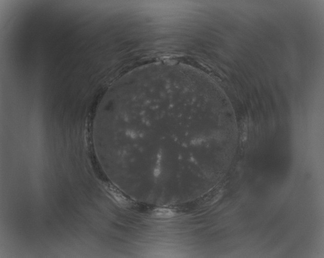 X0000070220519200606021324