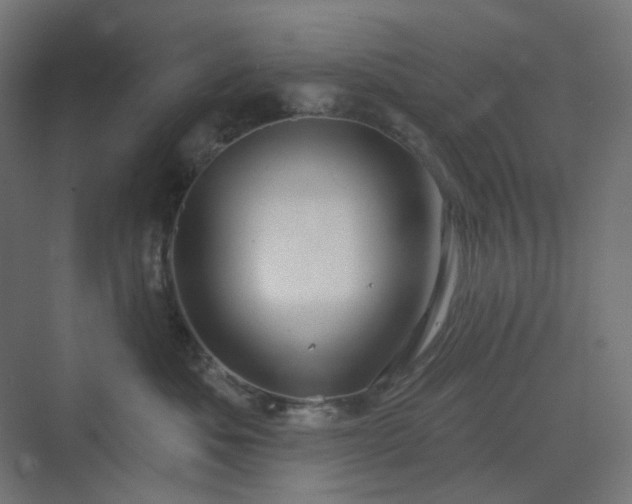 X0000070220525200606021324