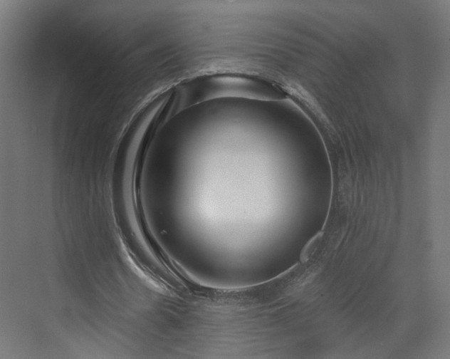 X0000070220530200606021324