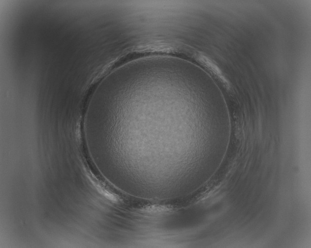 X0000070220537200606021324