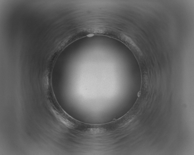 X0000070220541200606021324