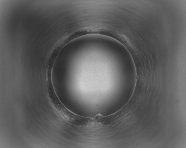 X0000070220543200606021324