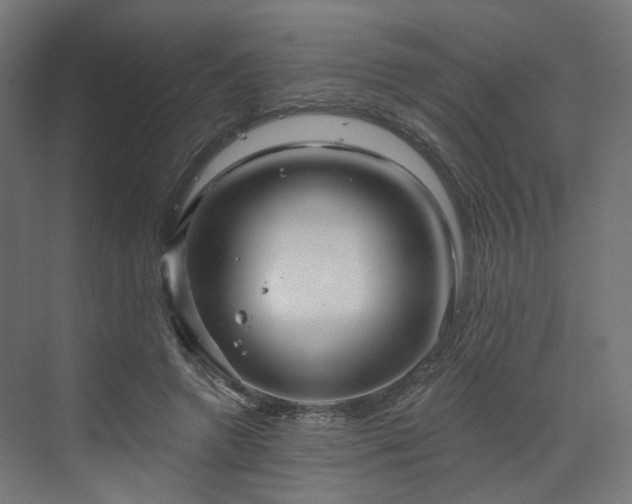 X0000070220546200606021324