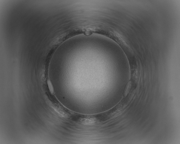 X0000070220548200606021324
