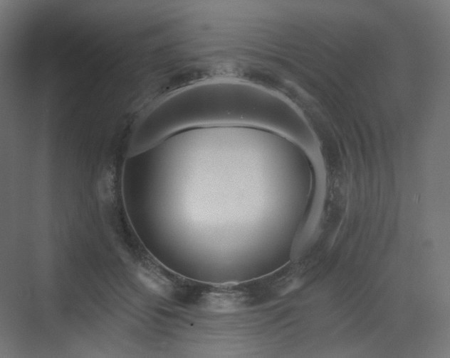 X0000070220556200606021324