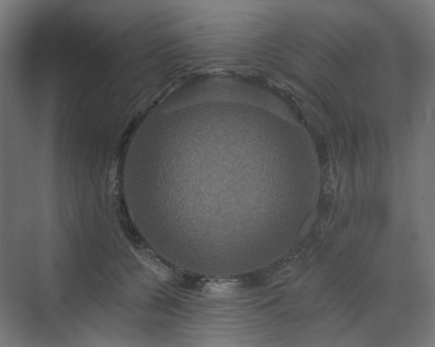 X0000070220560200606021324