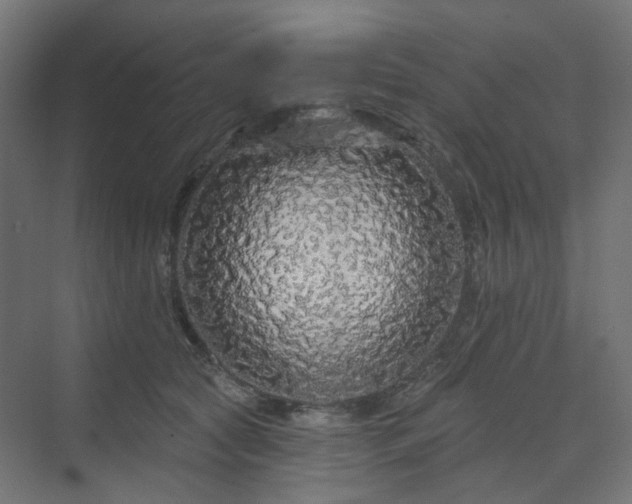 X0000070220561200606021324
