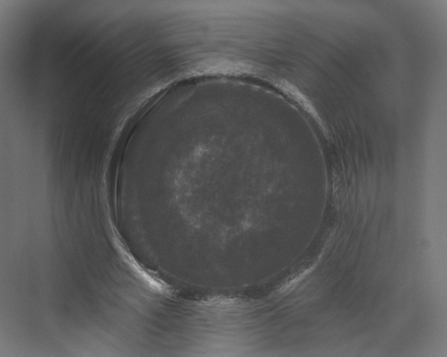 X0000070220581200606021323