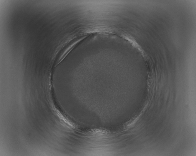 X0000070220585200606021323