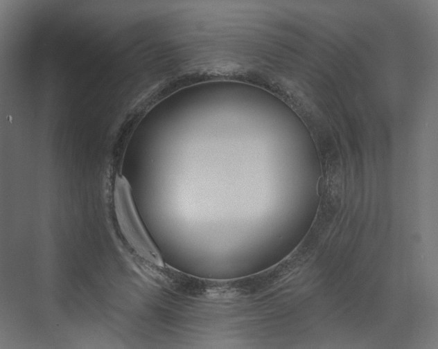 X0000070220591200606021323