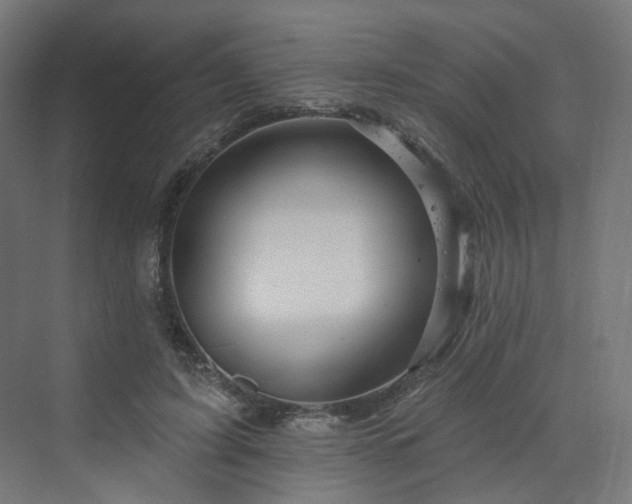 X0000070220595200606021323