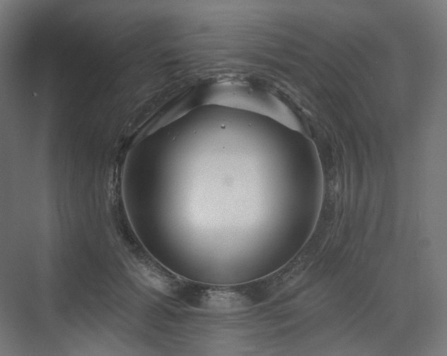 X0000070220605200606021323