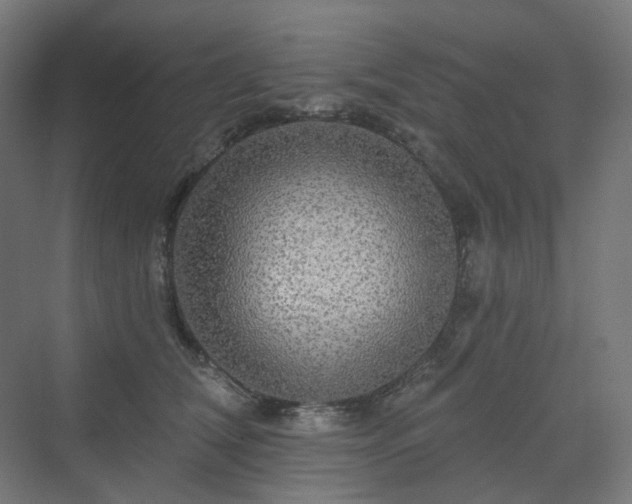 X0000070220612200606021323