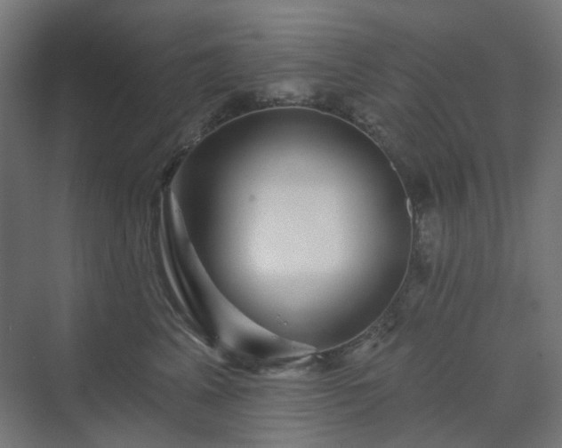 X0000070220617200606021323