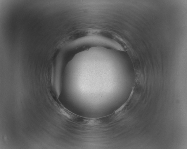 X0000070220621200606021323