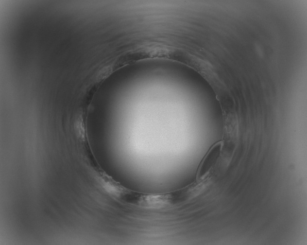 X0000070220622200606021323
