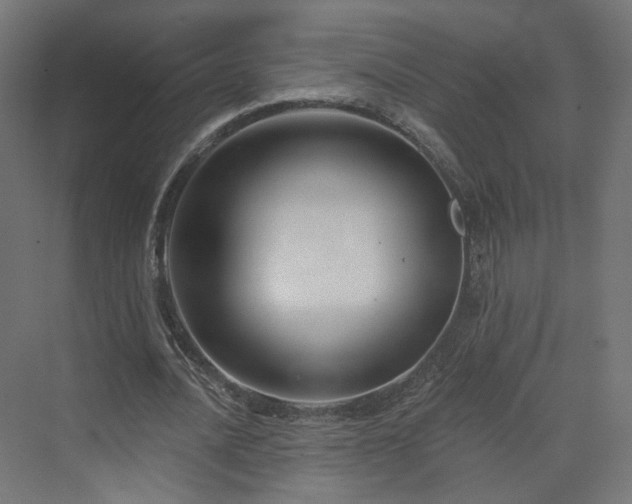 X0000070220628200606021322