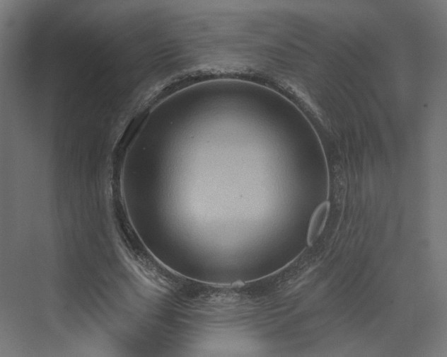 X0000070220631200606021322