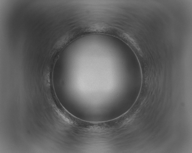X0000070220633200606021322