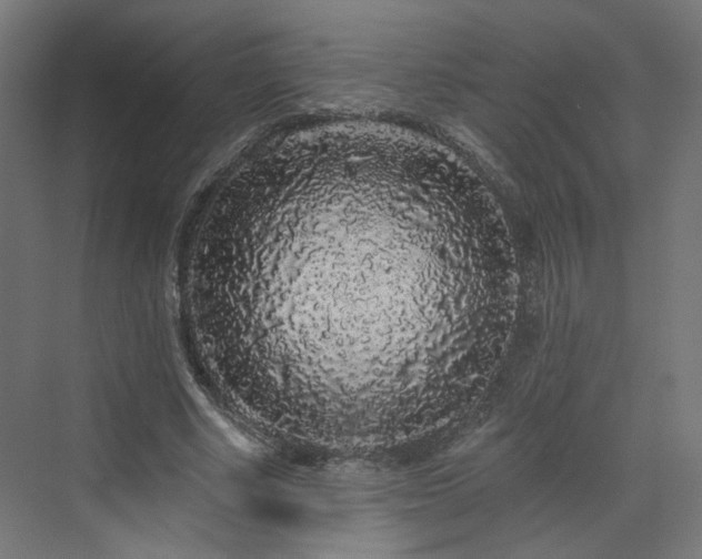 X0000070220634200606021322