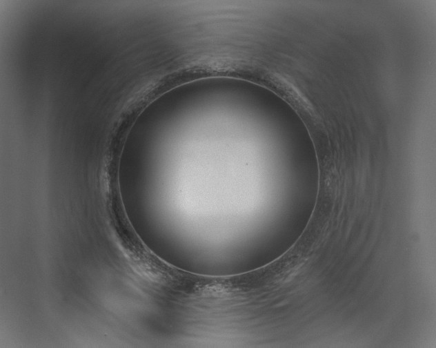 X0000070220635200606021322
