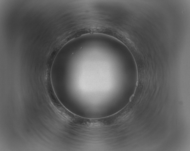 X0000070220645200606021322